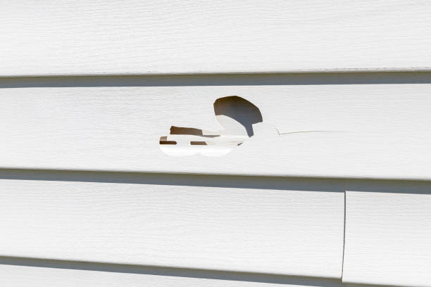 Best Hoarding Cleanup  in Robinhood, MS